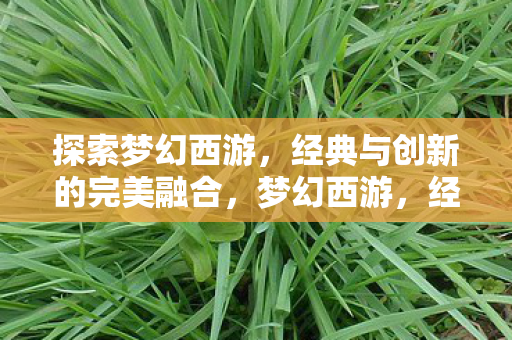探索梦幻西游,经典与创新的完美融合,梦幻西游,经典与创新完美融合的探索之旅 探索梦幻西游,经典与创新的完美融合,梦幻西游,经典与创新完美融合的探索之旅