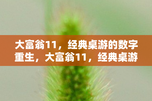 大富翁11,经典桌游的数字重生,大富翁11,经典桌游的数字重生之旅 大富翁11,经典桌游的数字重生,大富翁11,经典桌游的数字重生之旅