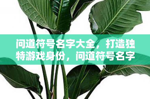 问道符号名字大全,打造独特游戏身份,问道符号名字大全,打造独特游戏身份 问道符号名字大全,打造独特游戏身份,问道符号名字大全,打造独特游戏身份