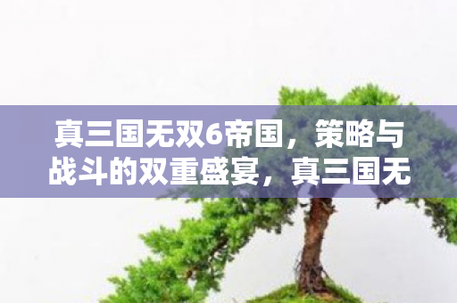 真三国无双6帝国,策略与战斗的双重盛宴,真三国无双6帝国,策略与战斗的双重盛宴震撼来袭! 真三国无双6帝国,策略与战斗的双重盛宴,真三国无双6帝国,策略与战斗的双重盛宴震撼来袭!