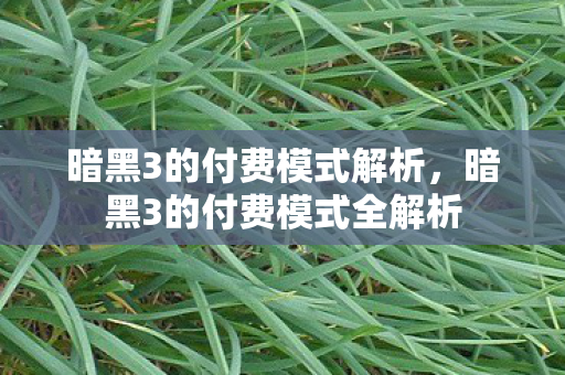 暗黑3的付费模式解析,暗黑3的付费模式全解析 暗黑3的付费模式解析,暗黑3的付费模式全解析