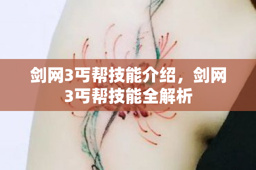 剑网3丐帮技能介绍,剑网3丐帮技能全解析 剑网3丐帮技能介绍,剑网3丐帮技能全解析