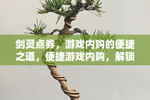 剑灵点券,游戏内购的便捷之道,便捷游戏内购,解锁剑灵点券 剑灵点券,游戏内购的便捷之道,便捷游戏内购,解锁剑灵点券