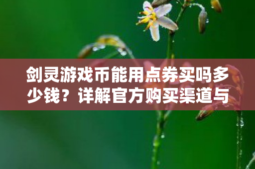 剑灵游戏币能用点券买吗多少钱图片