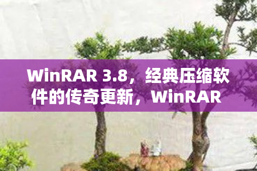 WinRAR 3.8，经典压缩软件的传奇更新，WinRAR 3.8，经典压缩软件的传奇更新