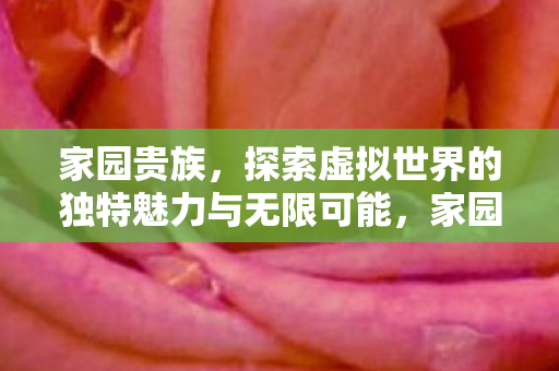 家园贵族，探索虚拟世界的独特魅力与无限可能，家园贵族，探索虚拟世界的独特魅力与无限可能
