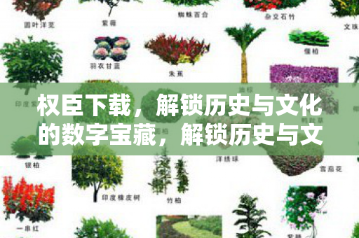 权臣下载,解锁历史与文化的数字宝藏,解锁历史与文化的数字宝藏,权臣下载 权臣下载,解锁历史与文化的数字宝藏,解锁历史与文化的数字宝藏,权臣下载