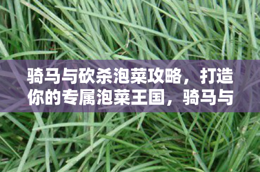 骑马与砍杀泡菜攻略,打造你的专属泡菜王国,骑马与砍杀,打造你的泡菜王国攻略 骑马与砍杀泡菜攻略,打造你的专属泡菜王国,骑马与砍杀,打造你的泡菜王国攻略