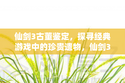 仙剑3古董鉴定,探寻经典游戏中的珍贵遗物,仙剑3古董鉴定,探寻经典游戏中的珍贵遗物 仙剑3古董鉴定,探寻经典游戏中的珍贵遗物,仙剑3古董鉴定,探寻经典游戏中的珍贵遗物