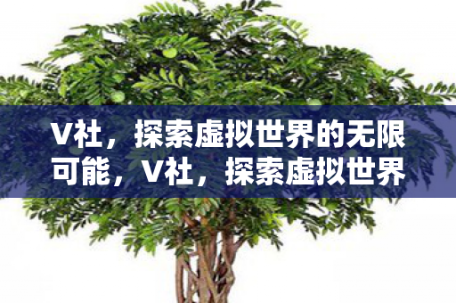 V社,探索虚拟世界的无限可能,V社,探索虚拟世界的无限可能 V社,探索虚拟世界的无限可能,V社,探索虚拟世界的无限可能