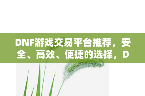 DNF游戏交易平台推荐，安全、高效、便捷的选择，DNF游戏安全交易，首选平台推荐