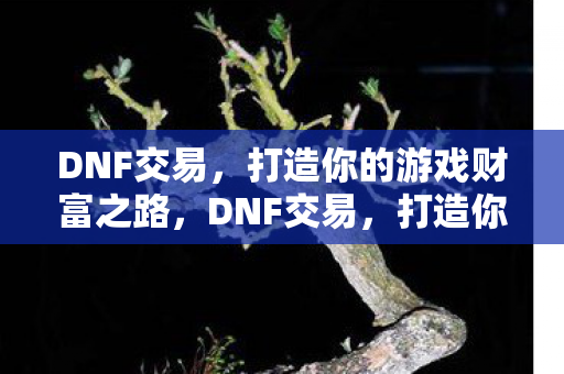 DNF交易,打造你的游戏财富之路,DNF交易,打造你的游戏财富之路 DNF交易,打造你的游戏财富之路,DNF交易,打造你的游戏财富之路