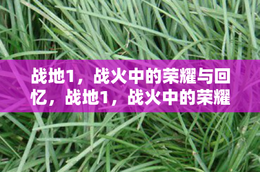 战地1,战火中的荣耀与回忆,战地1,战火中的荣耀与回忆 战地1,战火中的荣耀与回忆,战地1,战火中的荣耀与回忆