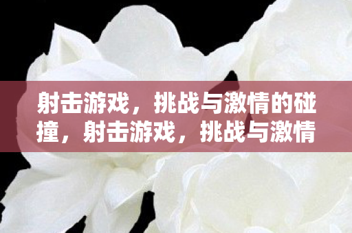 射击游戏，挑战与激情的碰撞，射击游戏，挑战与激情的碰撞