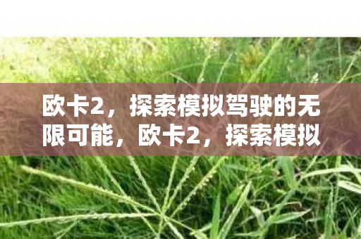 欧卡2，探索模拟驾驶的无限可能，欧卡2，探索模拟驾驶的无限可能