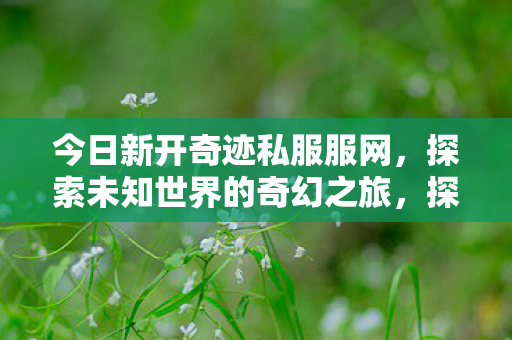 今日新开奇迹私服服网,探索未知世界的奇幻之旅,探索奇迹私服服网,开启奇幻之旅 今日新开奇迹私服服网,探索未知世界的奇幻之旅,探索奇迹私服服网,开启奇幻之旅