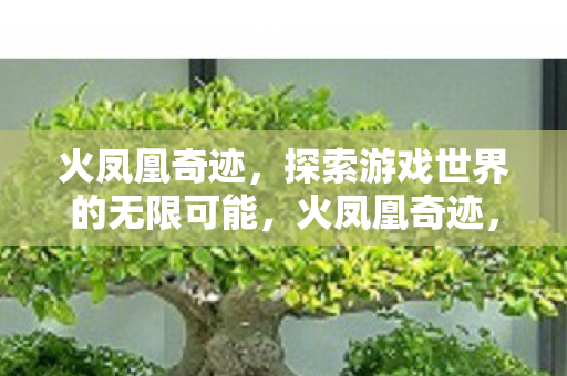火凤凰奇迹,探索游戏世界的无限可能,火凤凰奇迹,探索游戏世界的无限可能 火凤凰奇迹,探索游戏世界的无限可能,火凤凰奇迹,探索游戏世界的无限可能