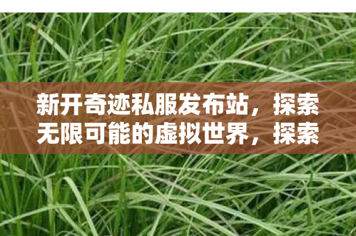 新开奇迹私服发布站，探索无限可能的虚拟世界，探索无限可能的虚拟世界，新开奇迹私服发布站