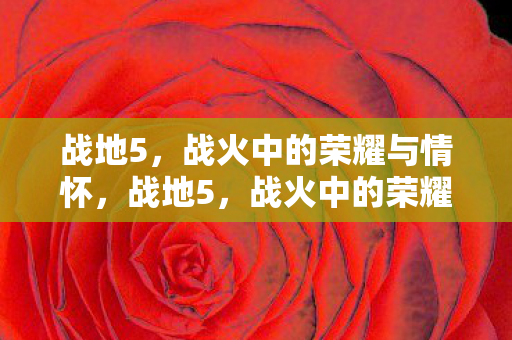 战地5,战火中的荣耀与情怀,战地5,战火中的荣耀与情怀 战地5,战火中的荣耀与情怀,战地5,战火中的荣耀与情怀