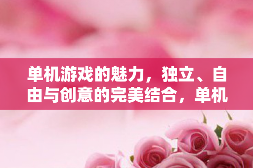 单机游戏的魅力,独立、自由与创意的完美结合,单机游戏的魅力,独立、自由与创意的完美融合 单机游戏的魅力,独立、自由与创意的完美结合,单机游戏的魅力,独立、自由与创意的完美融合