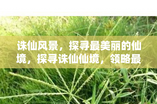 诛仙风景,探寻最美丽的仙境,探寻诛仙仙境,领略最美丽的风景 诛仙风景,探寻最美丽的仙境,探寻诛仙仙境,领略最美丽的风景