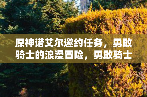原神诺艾尔邀约任务,勇敢骑士的浪漫冒险,勇敢骑士的浪漫冒险,诺艾尔邀约任务揭秘 原神诺艾尔邀约任务,勇敢骑士的浪漫冒险,勇敢骑士的浪漫冒险,诺艾尔邀约任务揭秘