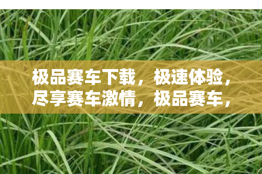 极品赛车下载,极速体验,尽享赛车激情,极品赛车,极速下载,畅享赛车激情 极品赛车下载,极速体验,尽享赛车激情,极品赛车,极速下载,畅享赛车激情