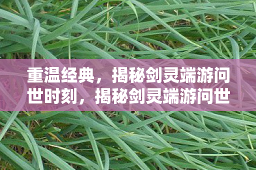 揭秘剑灵端游问世时刻图片