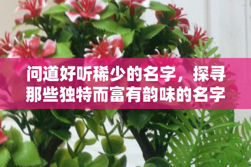 问道好听稀少的名字,探寻那些独特而富有韵味的名字,探寻独特韵味,好听稀少的名字推荐 问道好听稀少的名字,探寻那些独特而富有韵味的名字,探寻独特韵味,好听稀少的名字推荐