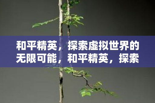 和平精英，探索虚拟世界的无限可能，和平精英，探索虚拟世界的无限可能