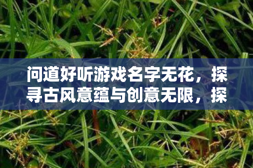问道好听游戏名字无花,探寻古风意蕴与创意无限,探寻古风意蕴与创意无限,好听的游戏名字无花 问道好听游戏名字无花,探寻古风意蕴与创意无限,探寻古风意蕴与创意无限,好听的游戏名字无花