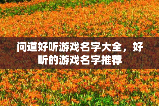 问道好听游戏名字大全,好听的游戏名字推荐 问道好听游戏名字大全,好听的游戏名字推荐