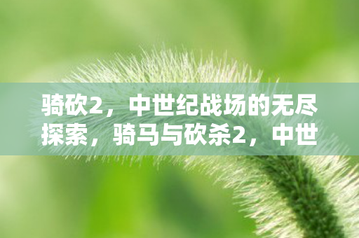 骑砍2,中世纪战场的无尽探索,骑马与砍杀2,中世纪战场的无尽探索之旅 骑砍2,中世纪战场的无尽探索,骑马与砍杀2,中世纪战场的无尽探索之旅