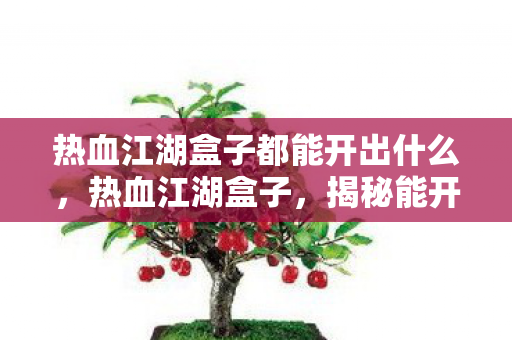 热血江湖盒子都能开出什么,热血江湖盒子,揭秘能开出哪些惊喜奖励 热血江湖盒子都能开出什么,热血江湖盒子,揭秘能开出哪些惊喜奖励