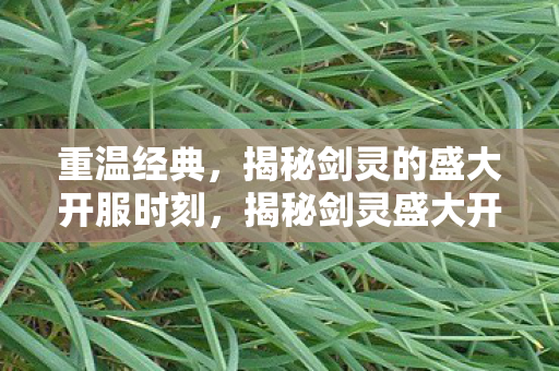 揭秘剑灵的盛大开服时刻图片
