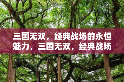 三国无双，经典战场的永恒魅力，三国无双，经典战场的永恒魅力
