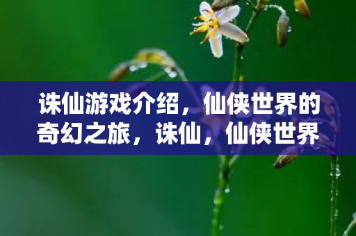 仙侠世界的奇幻之旅图片