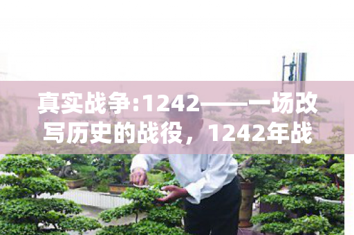 真实战争:1242——一场改写历史的战役,1242年战役,改写历史的真实战争 真实战争:1242——一场改写历史的战役,1242年战役,改写历史的真实战争