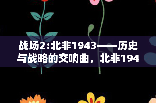战场2:北非1943——历史与战略的交响曲,北非1943,历史与战略的交响曲 战场2:北非1943——历史与战略的交响曲,北非1943,历史与战略的交响曲