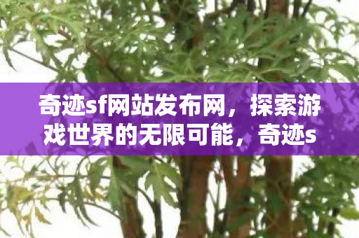 奇迹sf网站发布网，探索游戏世界的无限可能，奇迹sf网站发布网，探索游戏世界的无限可能