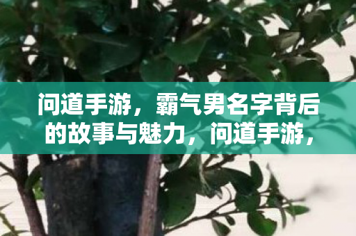 问道手游,霸气男名字背后的故事与魅力,问道手游,霸气男名字背后的故事与魅力 问道手游,霸气男名字背后的故事与魅力,问道手游,霸气男名字背后的故事与魅力