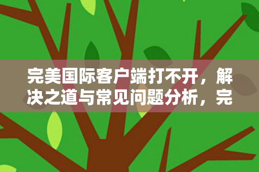 完美国际客户端打不开，解决之道与常见问题分析，完美国际客户端打不开，解决之道与常见问题分析