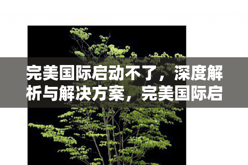 完美国际启动不了，深度解析与解决方案，完美国际启动问题深度解析及解决方案