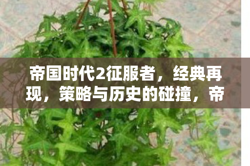 帝国时代2征服者,经典再现,策略与历史的碰撞,帝国时代2征服者,策略与历史的激情碰撞 帝国时代2征服者,经典再现,策略与历史的碰撞,帝国时代2征服者,策略与历史的激情碰撞