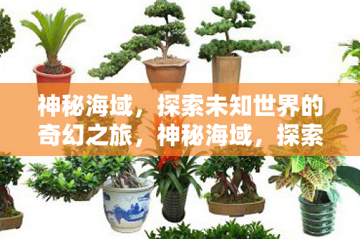 神秘海域,探索未知世界的奇幻之旅,神秘海域,探索未知世界的奇幻之旅 神秘海域,探索未知世界的奇幻之旅,神秘海域,探索未知世界的奇幻之旅
