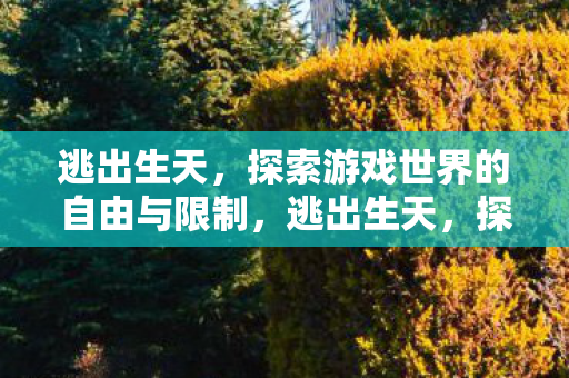 逃出生天，探索游戏世界的自由与限制，逃出生天，探索游戏世界的自由与限制