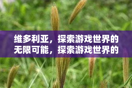 维多利亚,探索游戏世界的无限可能,探索游戏世界的无限可能,维多利亚之旅 维多利亚,探索游戏世界的无限可能,探索游戏世界的无限可能,维多利亚之旅