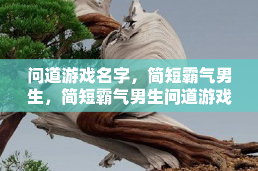 问道游戏名字,简短霸气男生,简短霸气男生问道游戏名字推荐 问道游戏名字,简短霸气男生,简短霸气男生问道游戏名字推荐