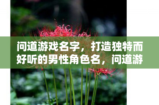 问道游戏名字,打造独特而好听的男性角色名,问道游戏,打造独特而好听的男性角色名 问道游戏名字,打造独特而好听的男性角色名,问道游戏,打造独特而好听的男性角色名