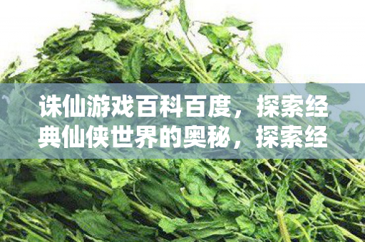 探索经典仙侠世界的奥秘图片